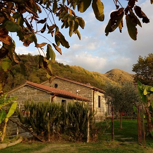 successioni legittime fivizzano licciana nardi